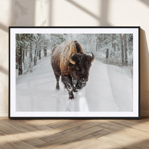 Bison Wall Art Canvas Print For Farmhouse, Animal Canvas