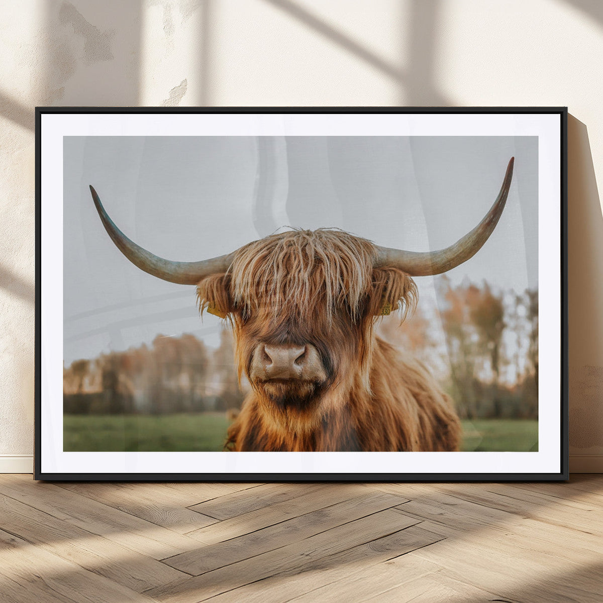 Highland Cow Animal Scottish Cattle Art Print Farmhouse Wall