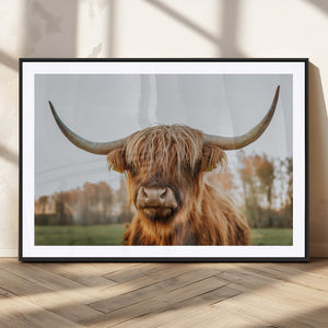 Highland Cow Animal Scottish Cattle Art Print Farmhouse Wall