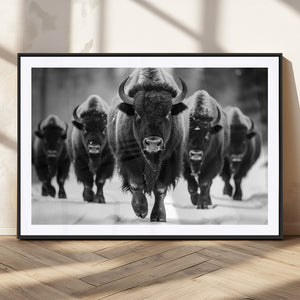 American Bison Art | Buffalo Herd Wall Art Canvas Print, BW