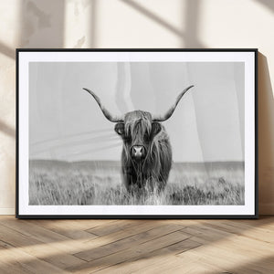 Highland Cow Canvas Wall Art – Majestic Beauty in Black and