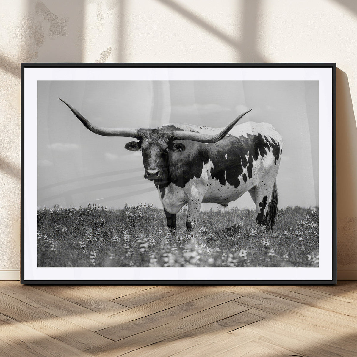 Texas Black White Highland Longhorn Cow Wall Art Canvas