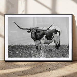 Texas Black White Highland Longhorn Cow Wall Art Canvas