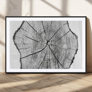Rustic Tree Ring Wall Art Canvas Print – Framed and Ready to