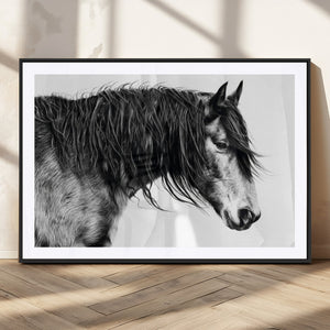 Black Horse Wall Art Canvas Print – Elegant Farmhouse Decor
