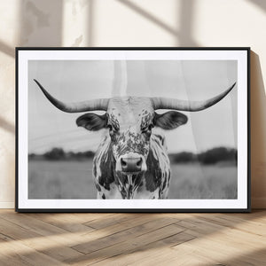 Highland Cow Wall Art Canvas Print – Black and White Western