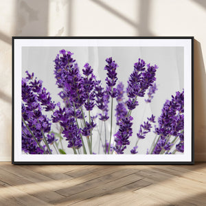 Lavender Flower Wall Art Canvas Print