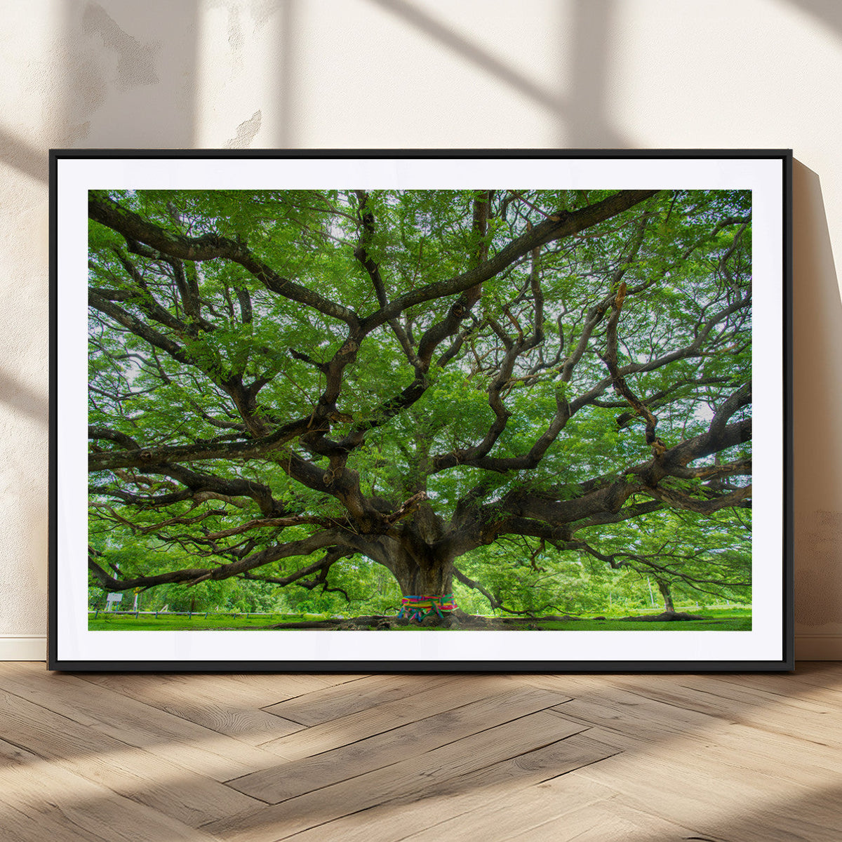Angel Oak Tree Wall Art Canvas Print – Framed Majestic