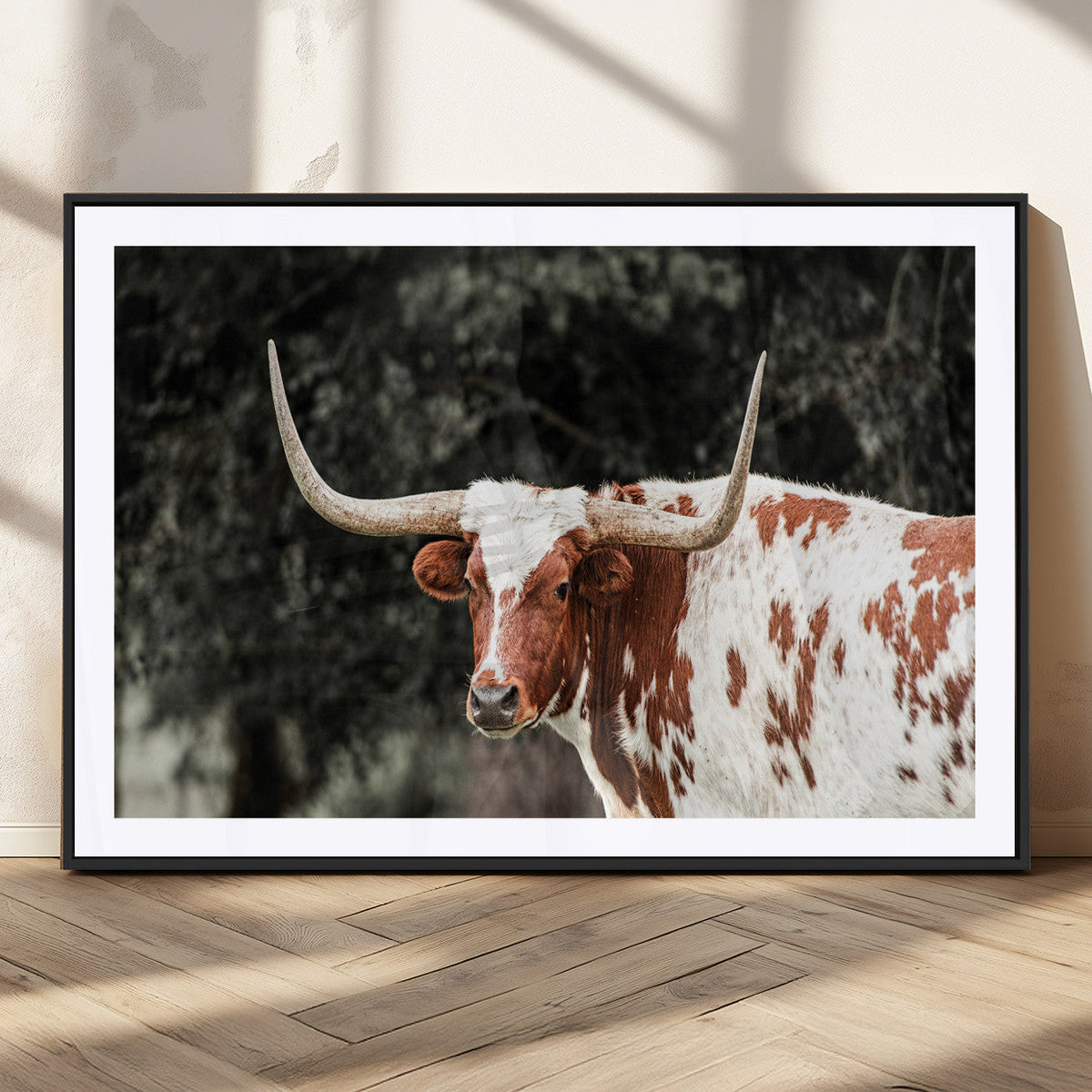 Texas Longhorn Wall Art Canvas Print – Framed Spotted Bull