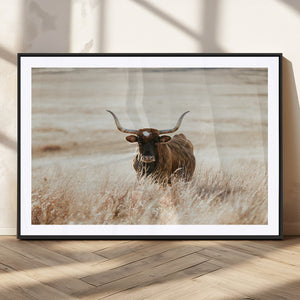 Texas Longhorn Wall Art Canvas Print – Framed Brown Horned