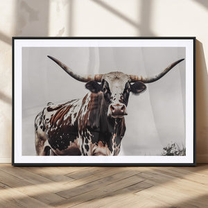 Texas Longhorn Wall Art Canvas Print – Framed Spotted Bull