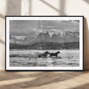 Wild Horses Wall Art Canvas Print – Framed Black and White