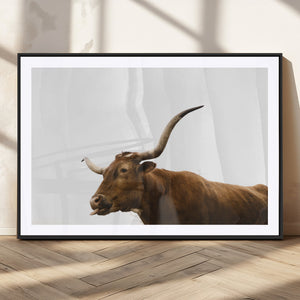 Longhorn Cow Wall Art Canvas Print – Framed Rustic Animal