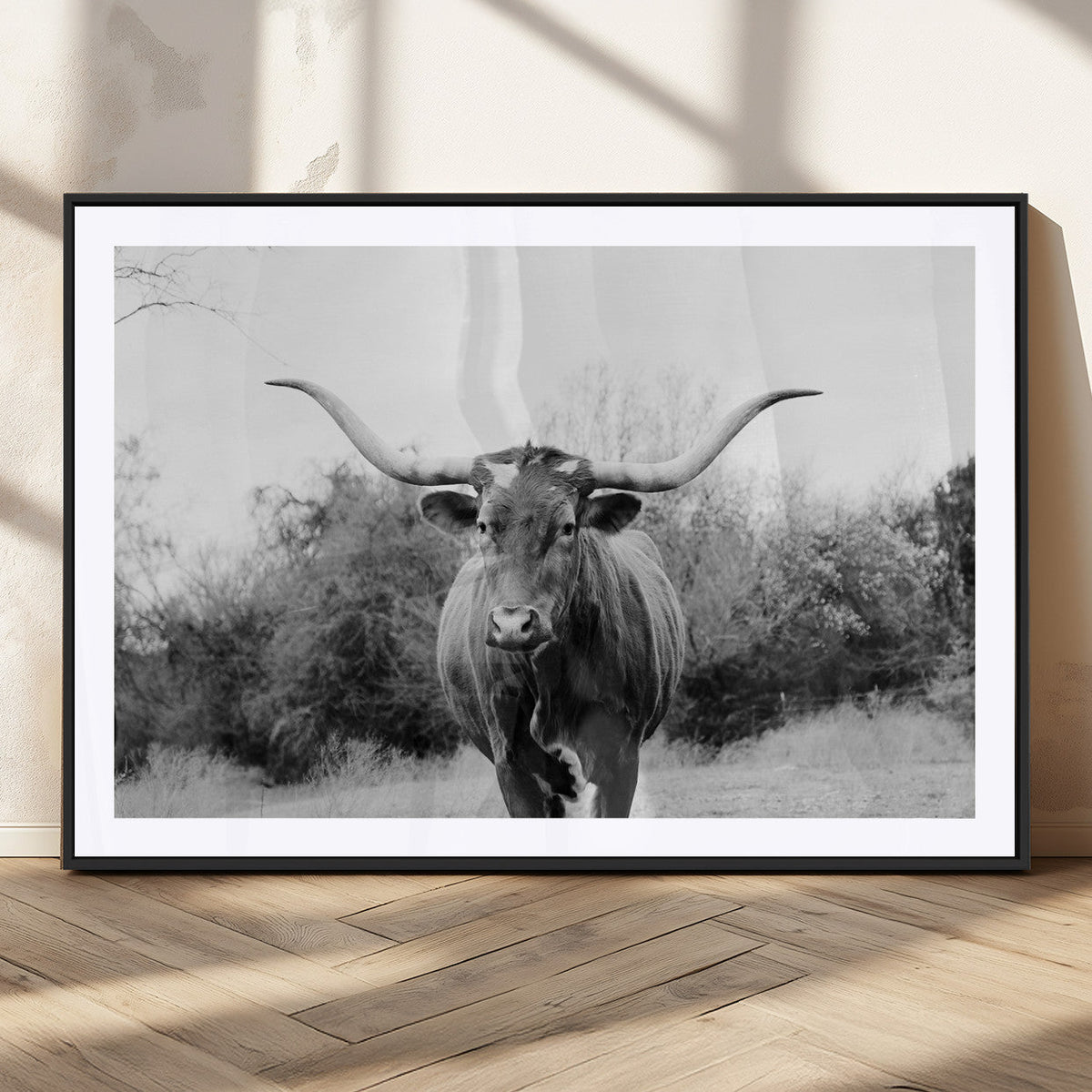 Longhorn Photography Wall Art Canvas Print – Framed Western