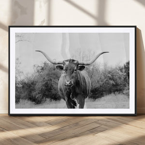 Longhorn Photography Wall Art Canvas Print – Framed Western