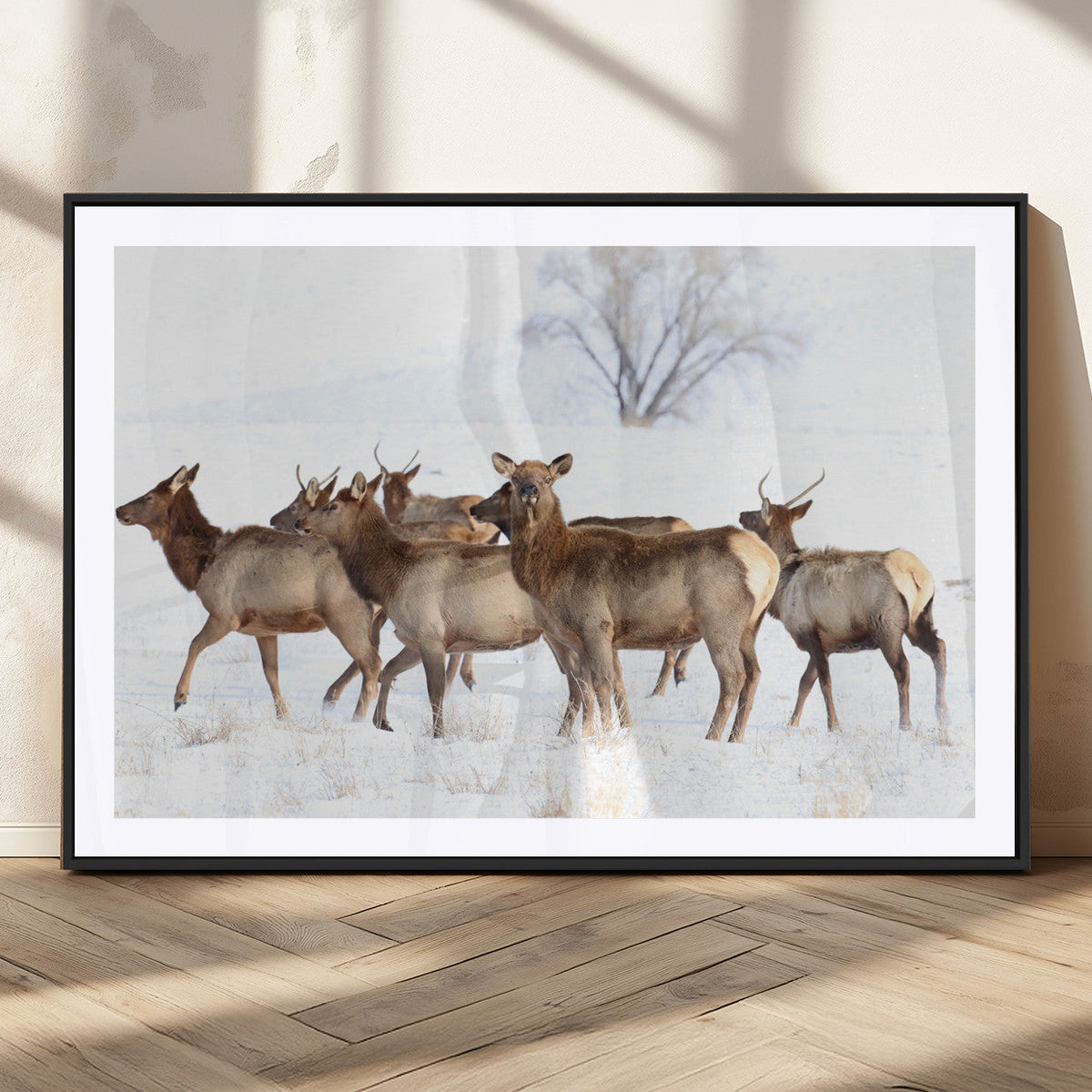 Winter Elk Scene Wall Art Canvas Print – Framed Wildlife
