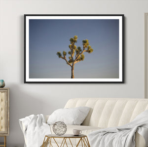 Joshua Tree Wall Art Canvas Print – Framed Southwestern