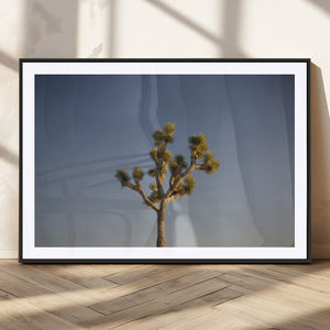 Joshua Tree Wall Art Canvas Print – Framed Southwestern