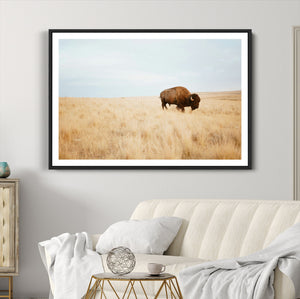 Buffalo Wall Art Canvas Print – Framed Western Wildlife