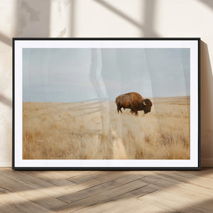 Buffalo Wall Art Canvas Print – Framed Western Wildlife