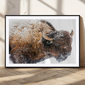 Snowy Buffalo Wall Art Canvas Print – Framed Rustic Lodge
