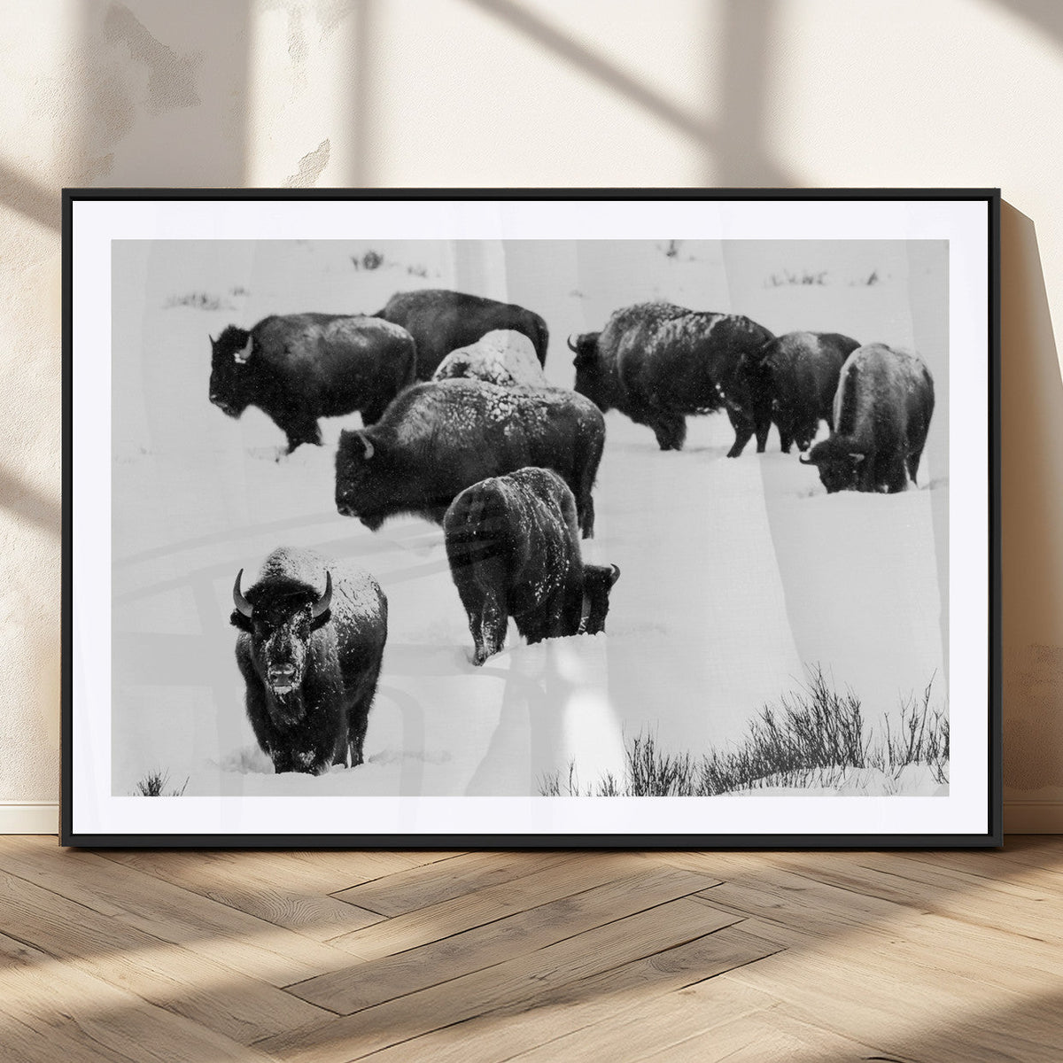 Buffalo Herd Wall Art Canvas Print – Framed Black and White