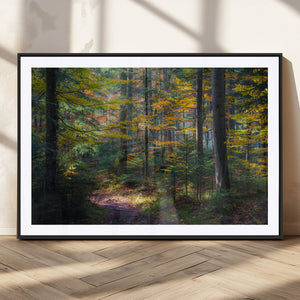 Autumn Forest Wall Art Canvas Print – Framed Fall Woodland