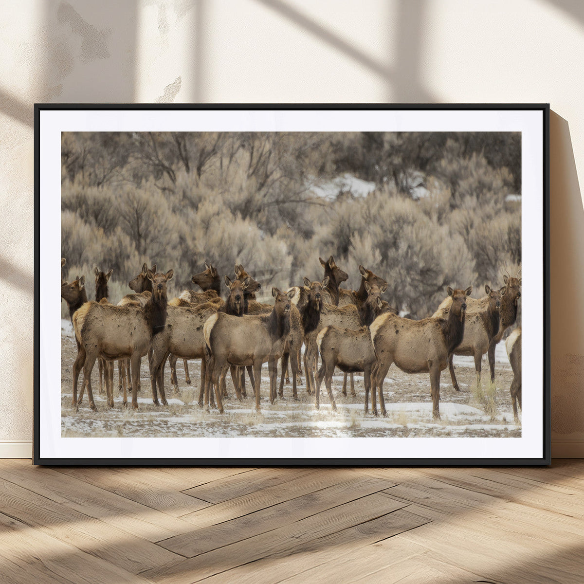 Majestic Elk Herd Winter Canvas, Elk Herd Winter Landscape