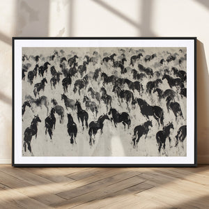 Wild Horse Stampede Wall Art Canvas Print – Monochrome