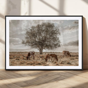 Texas Longhorn Cattle Wall Art, Rustic Western Ranch Canvas
