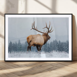 Majestic Elk Snowy Forest Wall Art Canvas Print – Winter