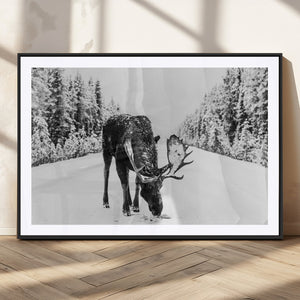 Moose Wall Art Canvas Print – Winter Snowy Forest Antlers