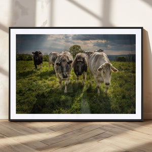 Grazing Cattle Herd Wall Art, Green Pasture Livestock Canvas
