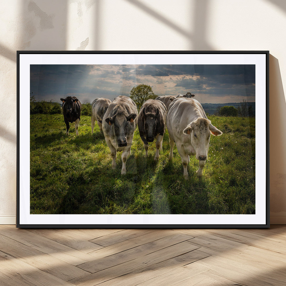 Grazing Cattle Herd Wall Art Canvas Print, Majestic Farm