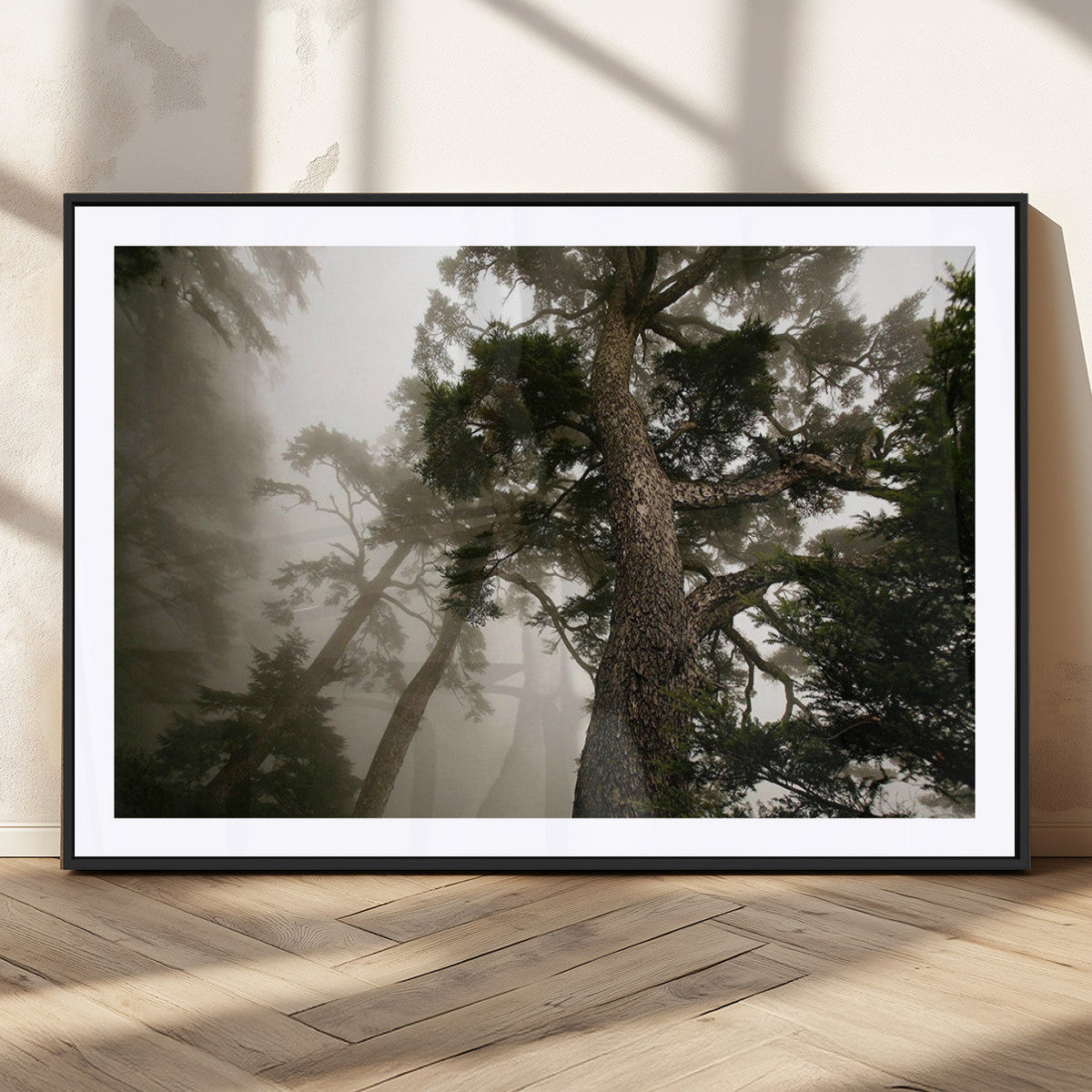 Misty Forest Wall Art Canvas Print, Tall Trees and Foggy