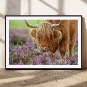 Highland Cow Wall Art Canvas Print – Framed Purple Flowers