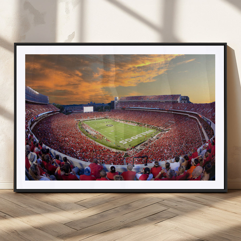 Dooley Stadium Wall Art, Sports Arena Canvas Print, Dooley
