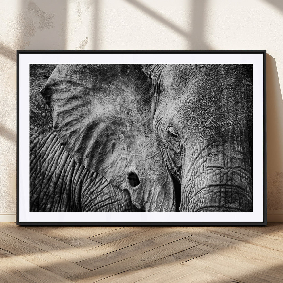 Wild Old Elephant Wall Art Canvas Print