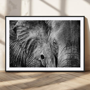 Wild Old Elephant Wall Art Canvas Print