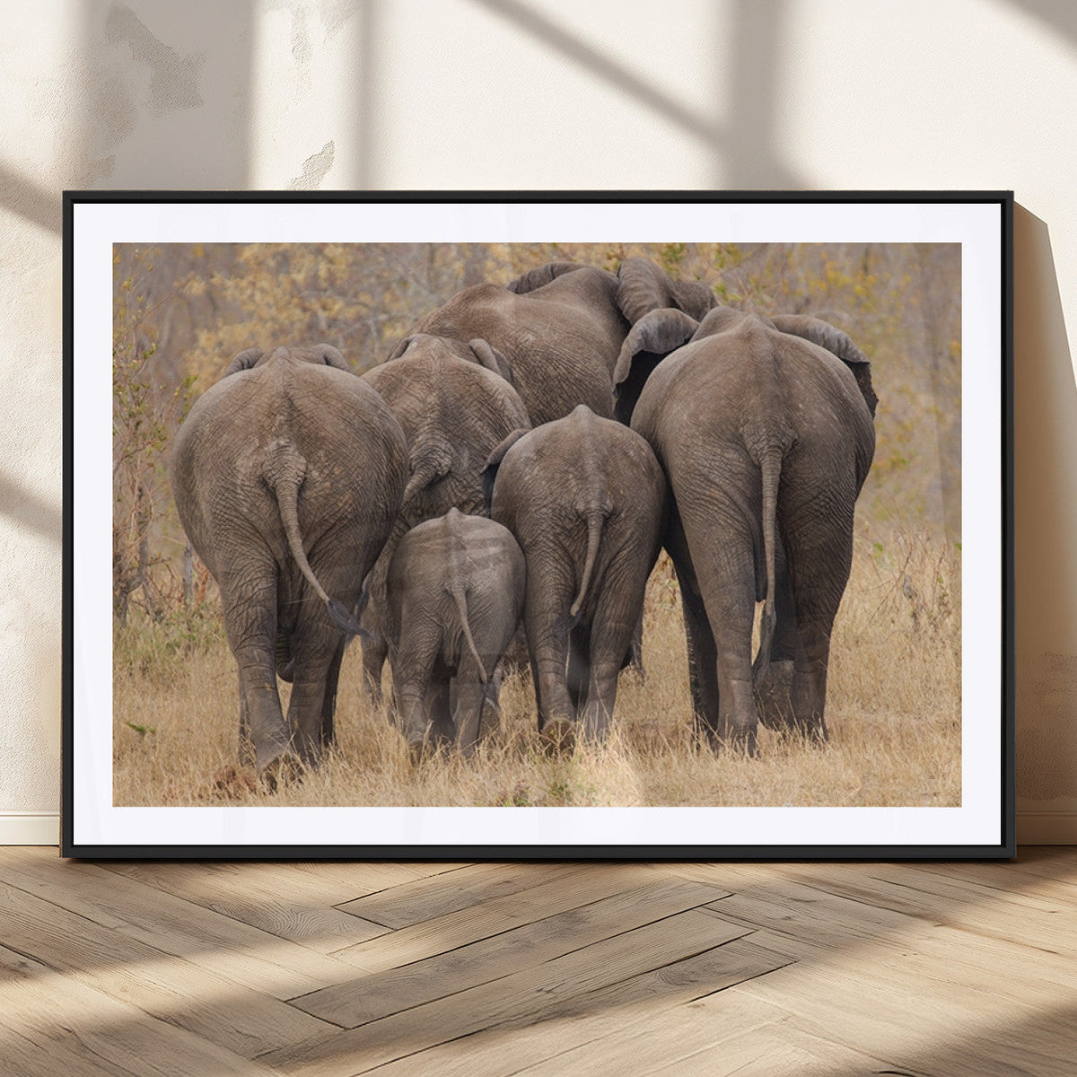 Wild Elephant Wall Art Canvas Print