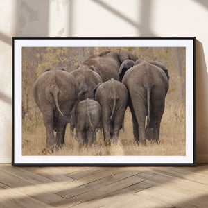 Wild Elephant Wall Art Canvas Print