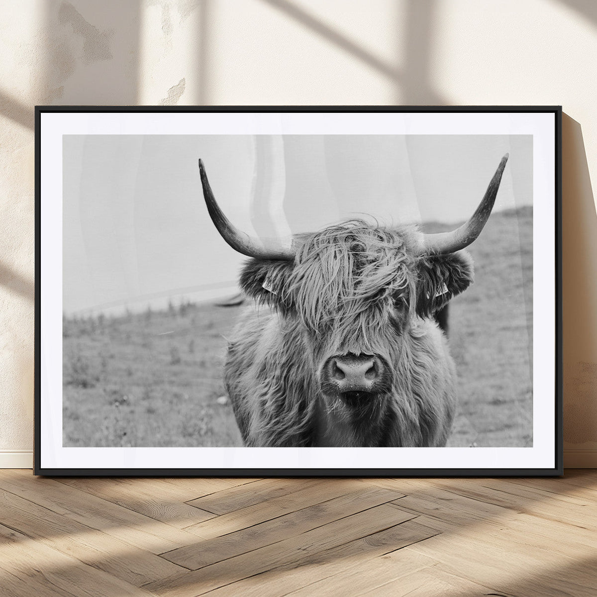Newfoundland Cow Art Wall Art, Black White Cow Art Wall Art