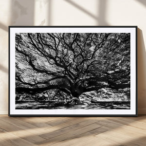 Mighty Angel Oak Wall Art | Angel Oak Tree Art Print