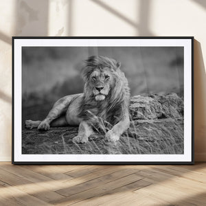King Forest Lion Wall Art Canvas Print – Framed Majestic