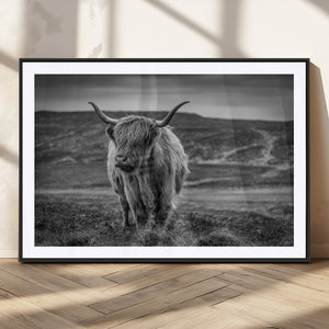 Fluffy Cattle Wall Art Print, Highland Cow Canvas, Framed