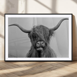 Texas Cow Wall Art Canvas, Texas Longhorn Cattle Canvas
