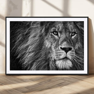 Black and White Lion Canvas Wall Art Print – Wildlife