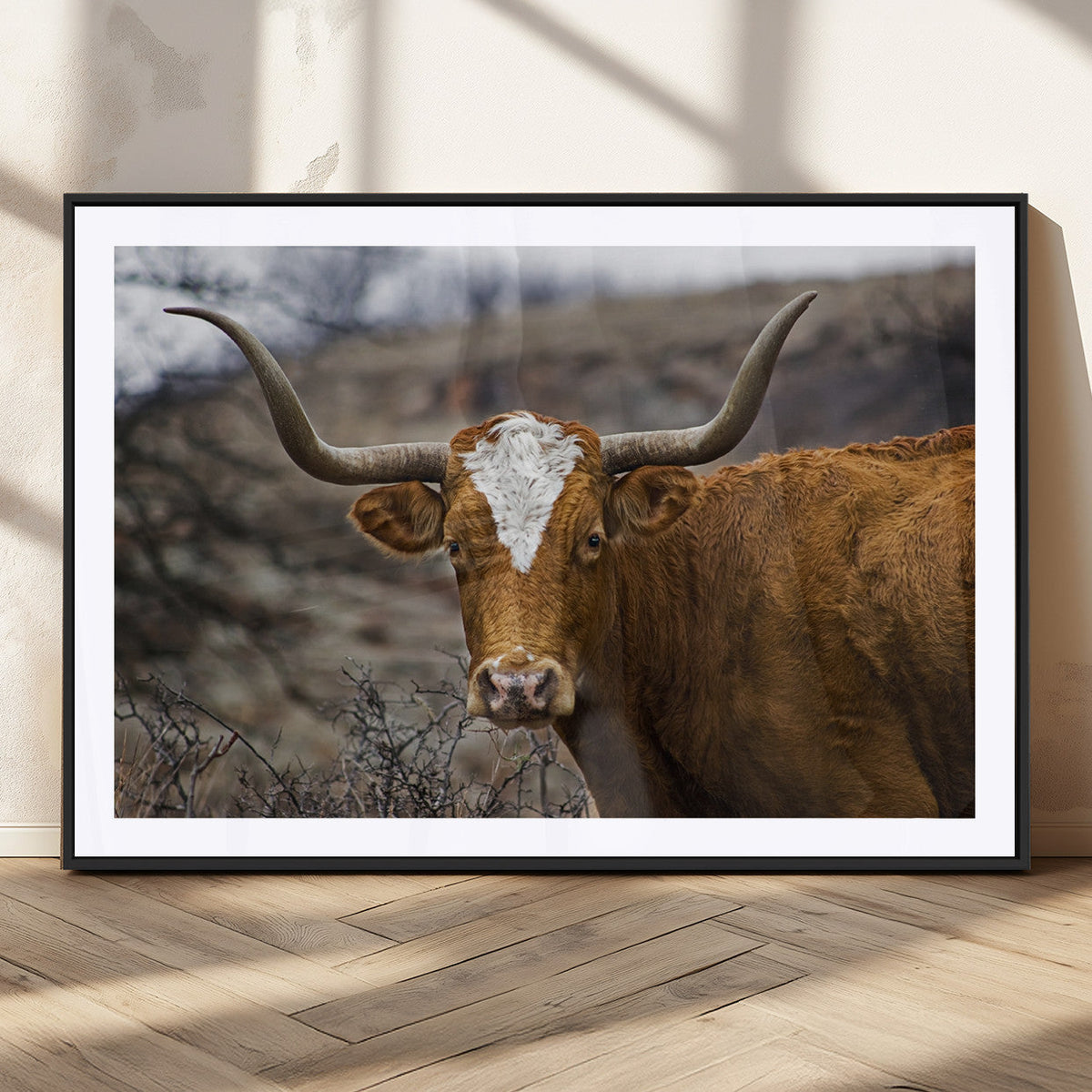 Texas Longhorn Canvas Wall Art - Longhorn Steer Canvas Wall