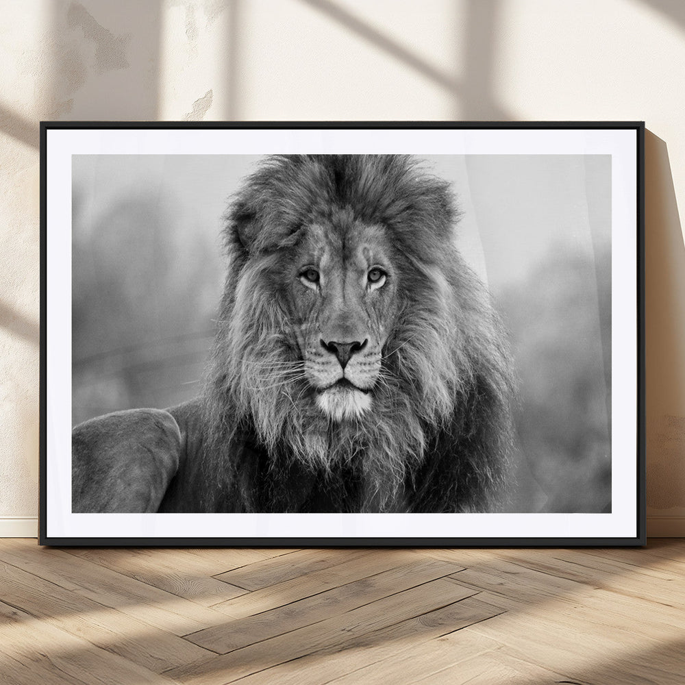 Black and White Lion Canvas Wall Art – Animal Print Artwork