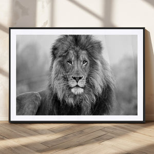 Black and White Lion Canvas Wall Art – Animal Print Artwork